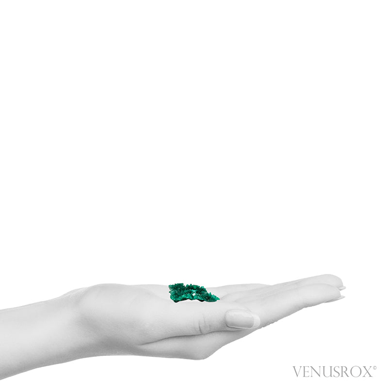 Dioptase Natural Cluster from Renéville, Kindanba District, Pool Department, Demacratic Republic of the Congo | Venusrox