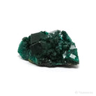 Dioptase Natural Cluster from Renéville, Kindanba District, Pool Department, Demacratic Republic of the Congo | Venusrox