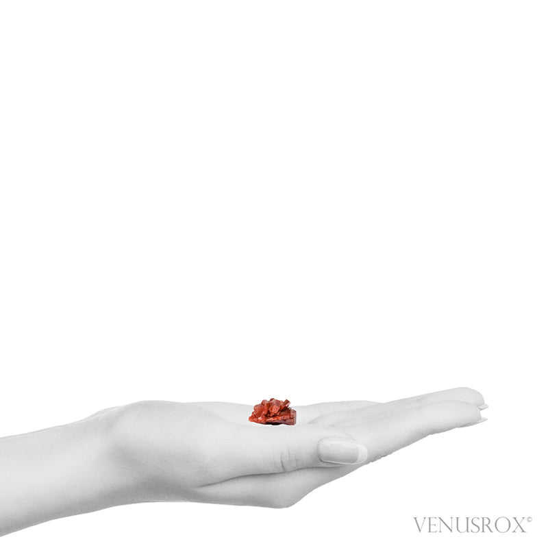 Vanadinite Natural Crystal from Mibladen, Midelt, Meknes-Tafilalet Region, Morocco | Venusrox