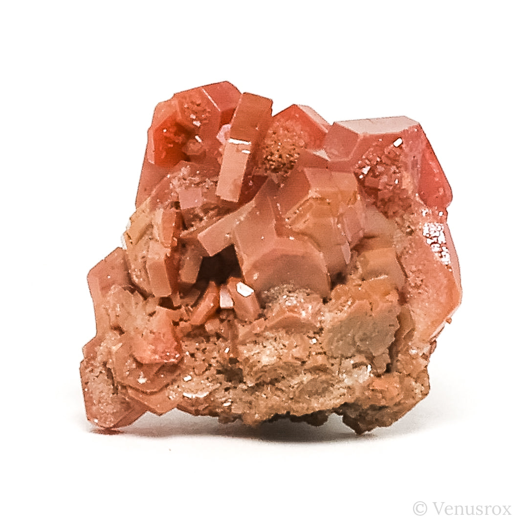 Vanadinite on Matrix Natural Cluster from Mibladen, Midelt, Meknes-Tafilalet Region, Morocco | Venusrox