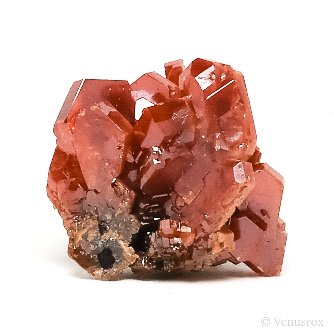 Vanadinite on Matrix Natural Cluster from Mibladen, Midelt, Meknes-Tafilalet Region, Morocco | Venusrox