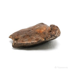 Gebel Kamil Meteorite Natural Fragment from Southern Egypt | Venusrox