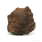 Gebel Kamil Meteorite Natural Fragment from Southern Egypt | Venusrox