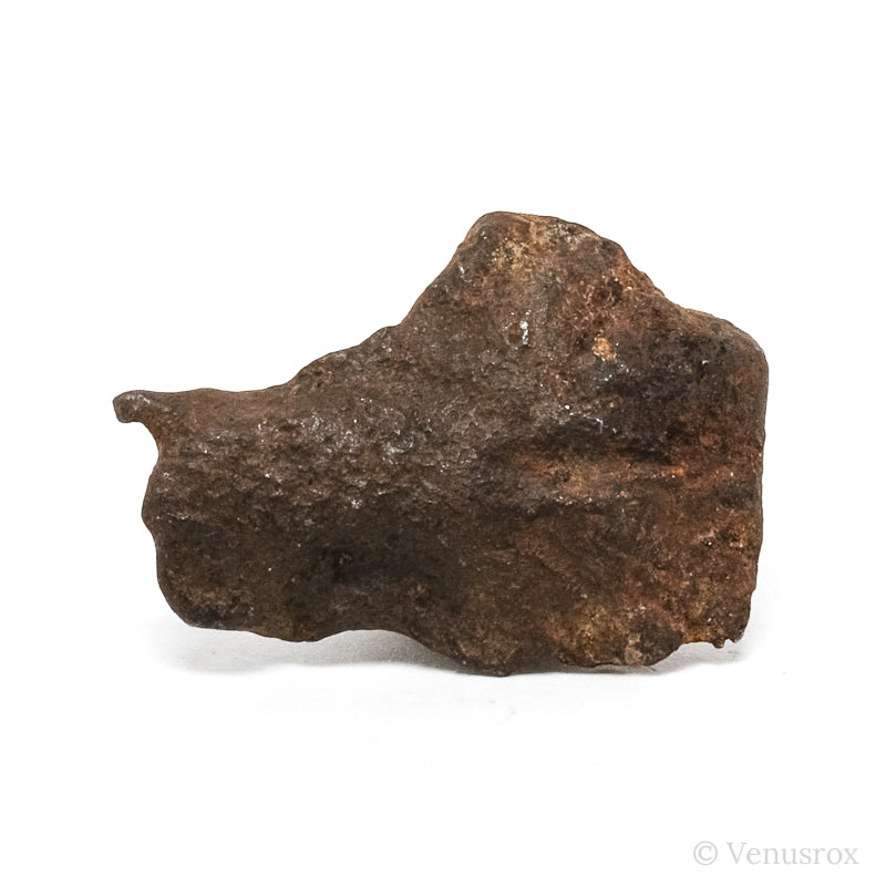 Gebel Kamil Meteorite Natural Fragment from Southern Egypt | Venusrox