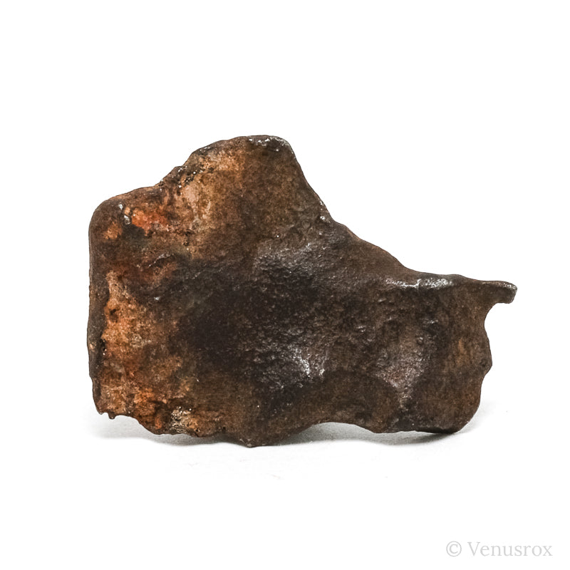 Gebel Kamil Meteorite Natural Fragment from Southern Egypt | Venusrox