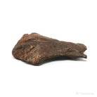 Gebel Kamil Meteorite Natural Fragment from Southern Egypt | Venusrox