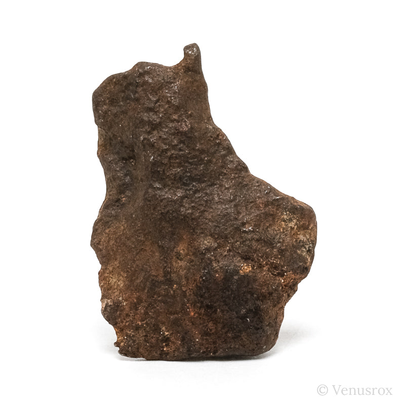 Gebel Kamil Meteorite Natural Fragment from Southern Egypt | Venusrox