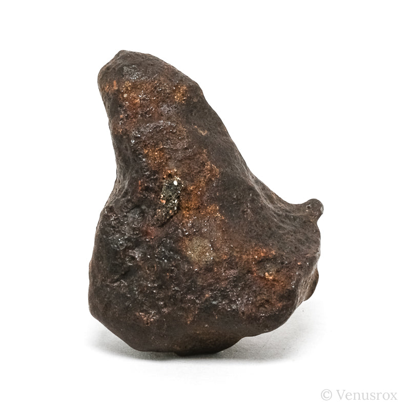 Gebel Kamil Meteorite Natural Fragment from Southern Egypt | Venusrox