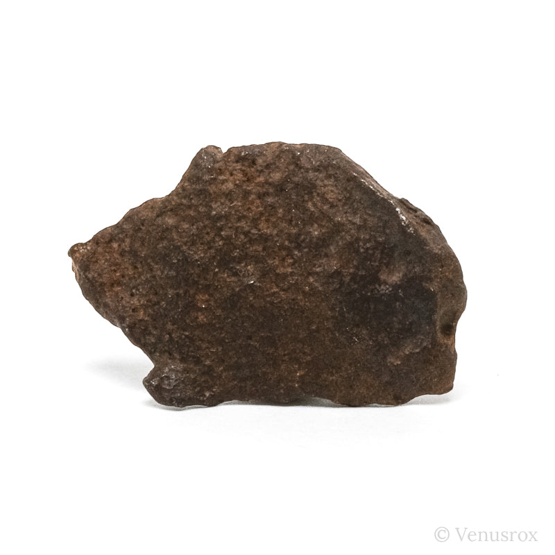 Gebel Kamil Meteorite Natural Fragment from Southern Egypt | Venusrox