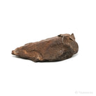 Gebel Kamil Meteorite Natural Fragment from Southern Egypt | Venusrox