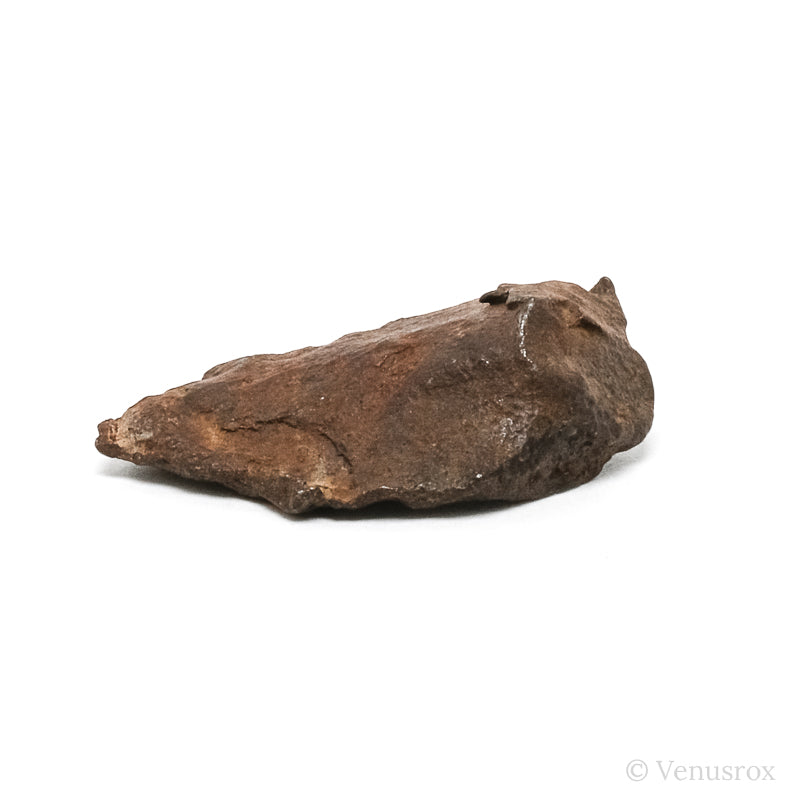 Gebel Kamil Meteorite Natural Fragment from Southern Egypt | Venusrox