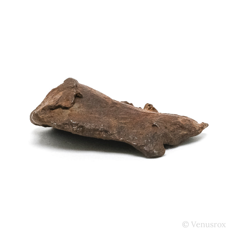 Gebel Kamil Meteorite Natural Fragment from Southern Egypt | Venusrox