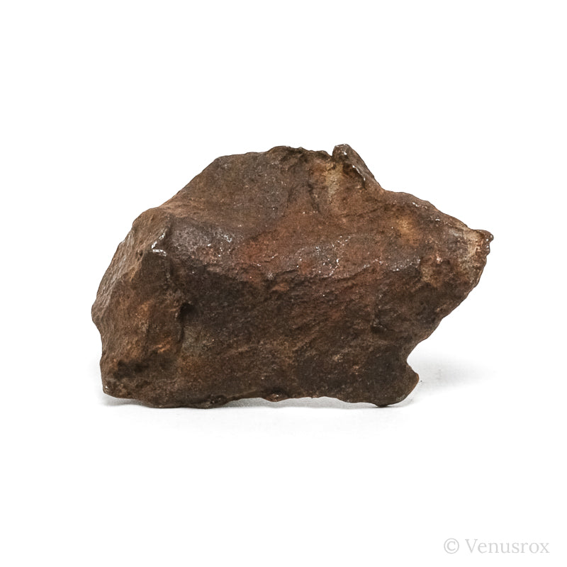 Gebel Kamil Meteorite Natural Fragment from Southern Egypt | Venusrox