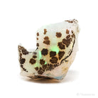 Opal Natural Crystal from Ethiopia | Venusrox