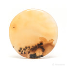 Dendritic Agate Polished Crystal from Madagascar | Venusrox
