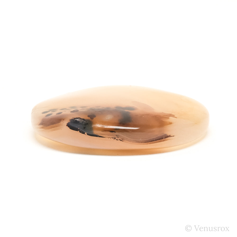 Dendritic Agate Polished Crystal from Madagascar | Venusrox