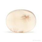 Dendritic Agate Polished Crystal from Madagascar | Venusrox
