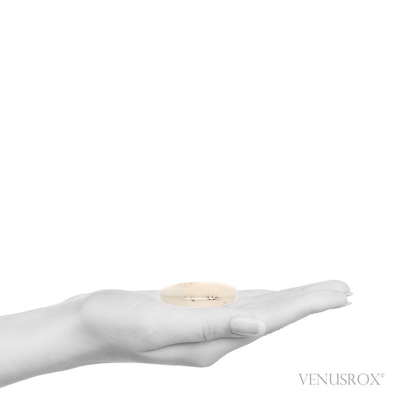 Dendritic Agate Polished Crystal from Madagascar | Venusrox