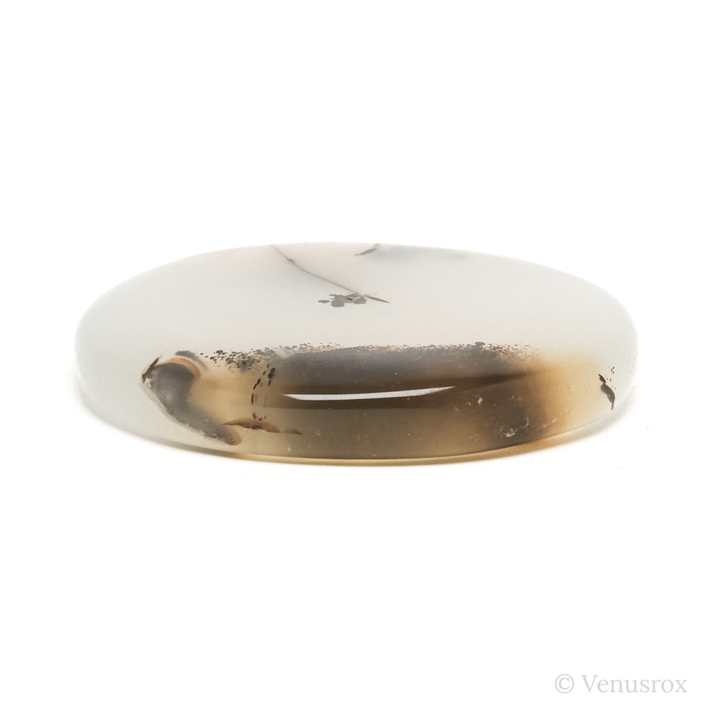 Dendritic Agate Polished Crystal from Madagascar | Venusrox