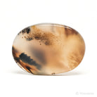 Dendritic Agate Polished Crystal from Madagascar | Venusrox