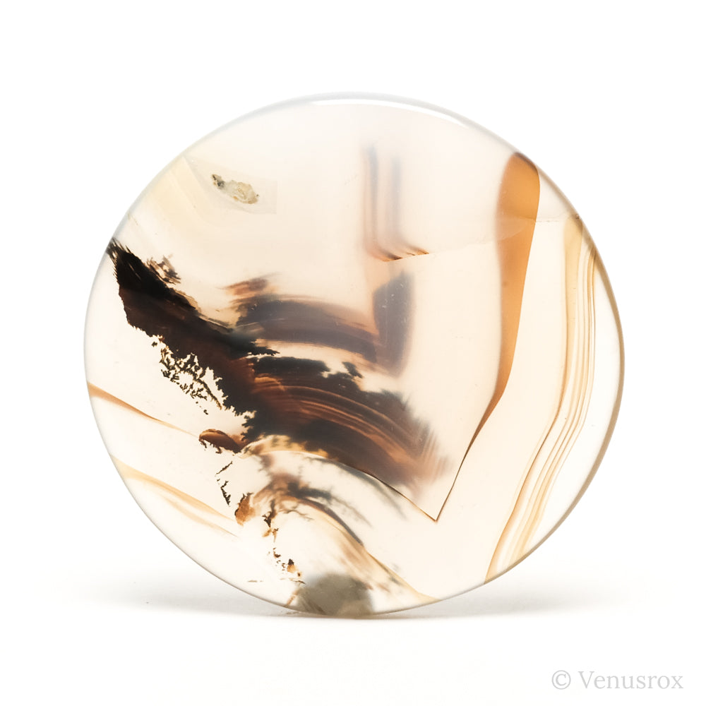 Dendritic Agate Polished Crystal from Madagascar | Venusrox