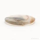 Dendritic Agate Polished Crystal from Madagascar | Venusrox