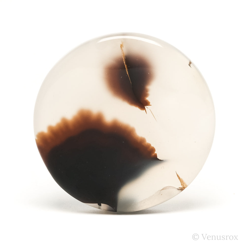 Dendritic Agate Polished Crystal from Madagascar | Venusrox