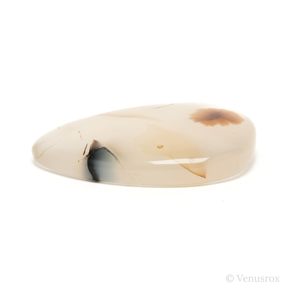Dendritic Agate Polished Crystal from Madagascar | Venusrox