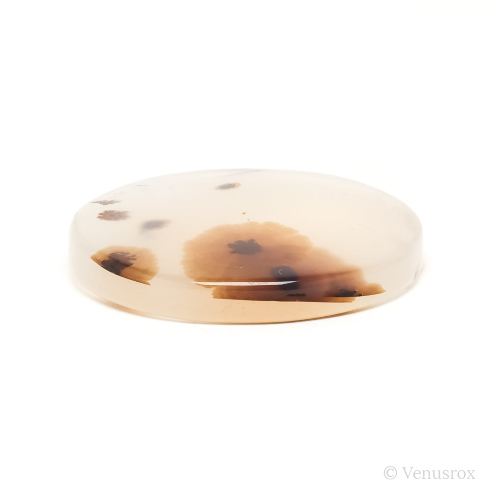 Dendritic Agate Polished Crystal from Madagascar | Venusrox