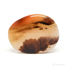 Dendritic Agate Polished Crystal from Madagascar | Venusrox