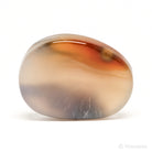 Dendritic Agate Polished Crystal from Madagascar | Venusrox