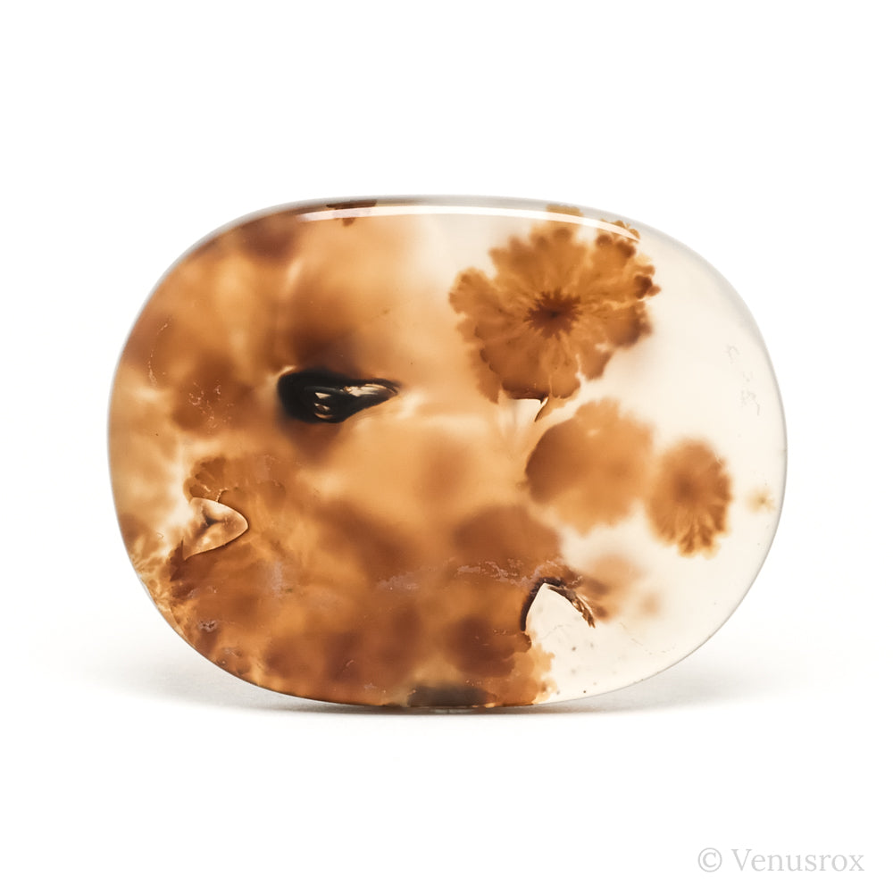 Dendritic Agate Polished Crystal from Madagascar | Venusrox