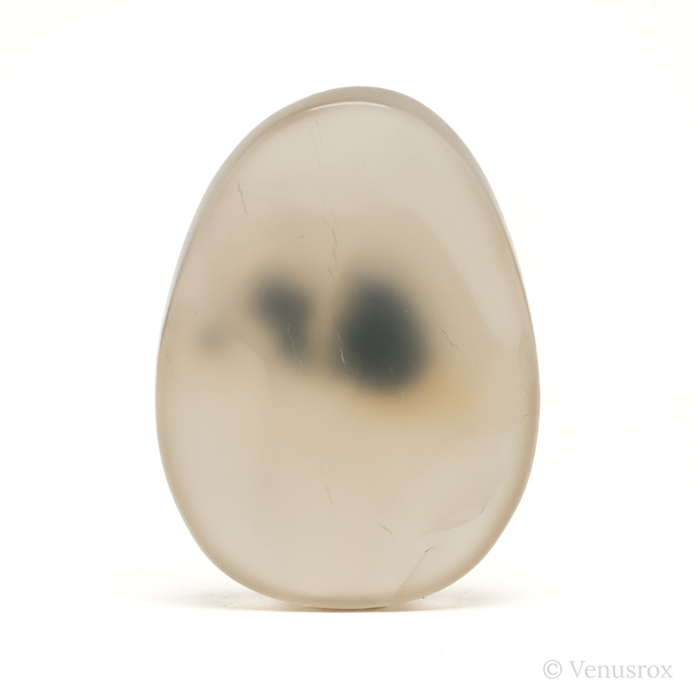 Dendritic Agate Polished Crystal from Madagascar | Venusrox