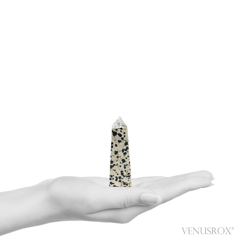 Dalmatian Jasper Polished Point from China | Venusrox
