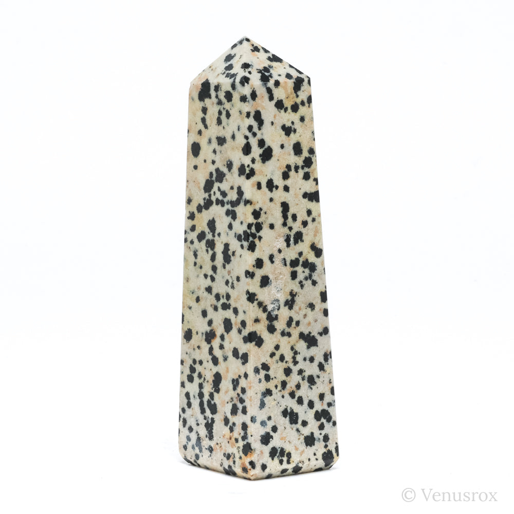Dalmatian Jasper Polished Point from China | Venusrox