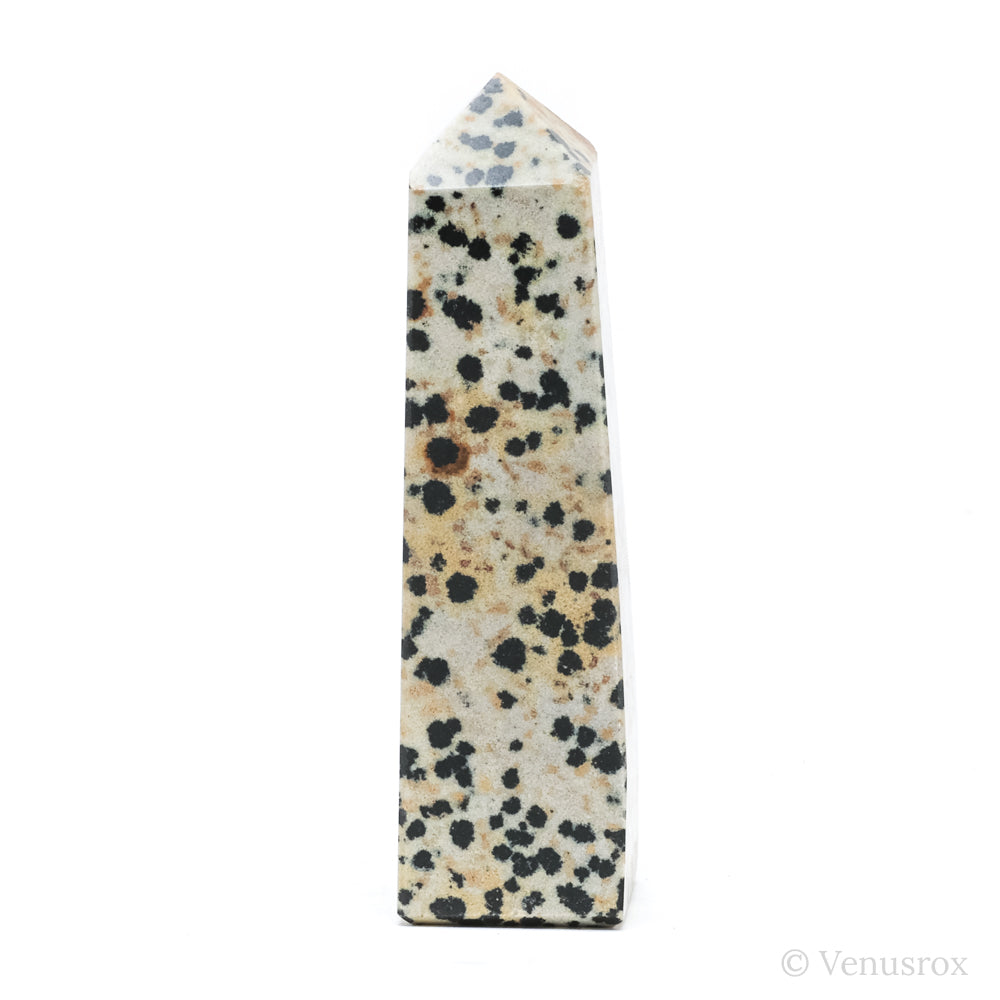 Dalmatian Jasper Polished Point from China | Venusrox