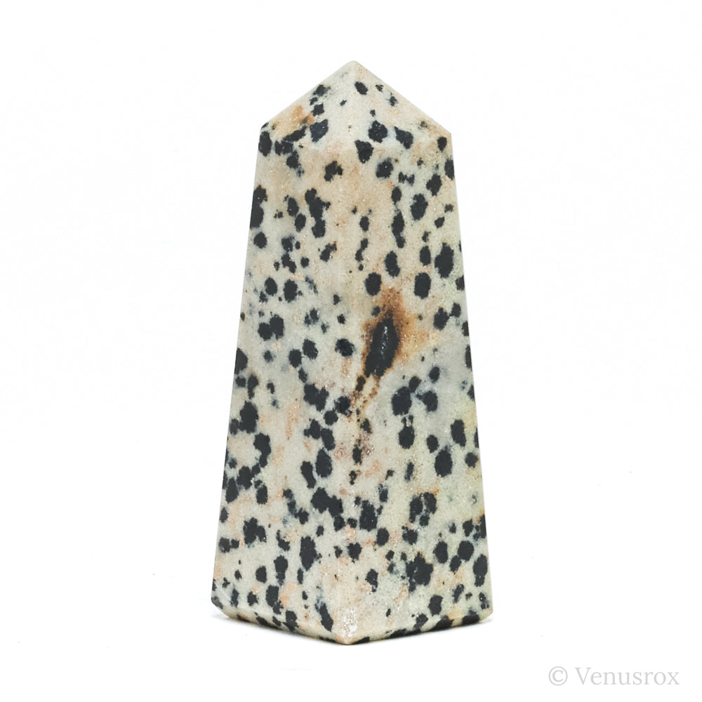 Dalmatian Jasper Polished Point from China | Venusrox