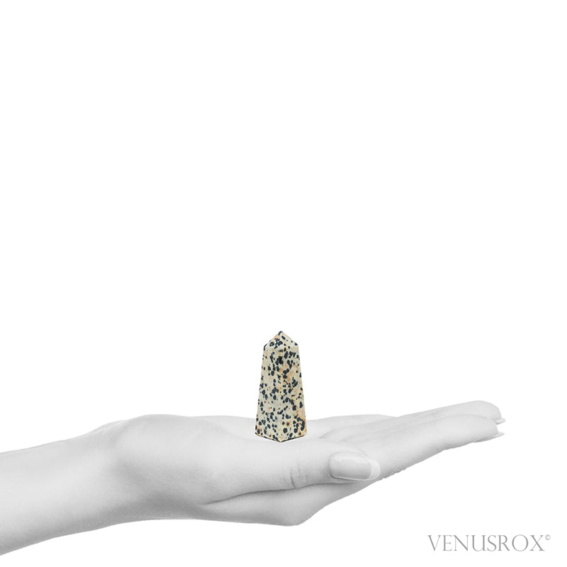 Dalmatian Jasper Polished Point from China | Venusrox