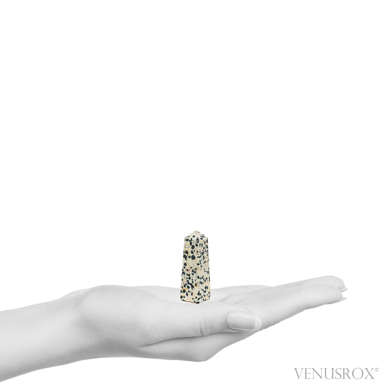 Dalmatian Jasper Polished Point from China | Venusrox