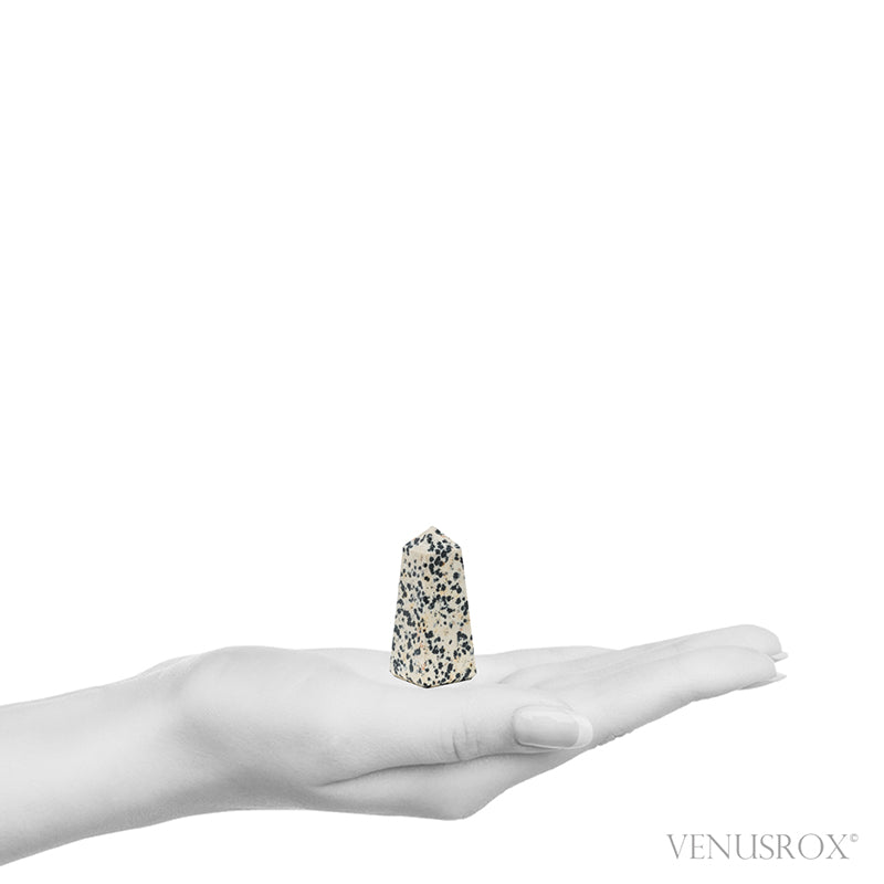 Dalmatian Jasper Polished Point from China | Venusrox