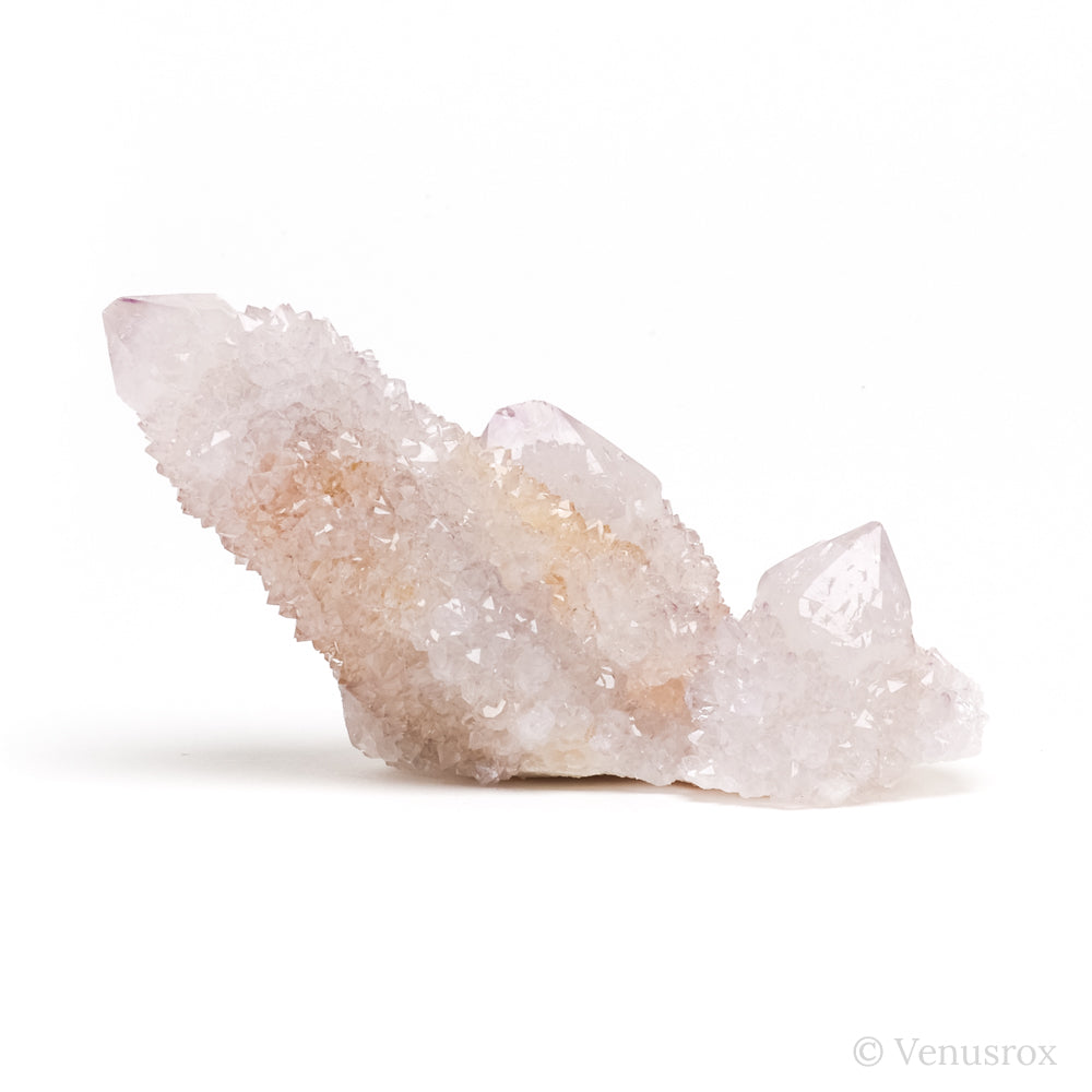Amethyst Spirit Quartz Cluster from Mpumalanga, South Africa | Venusrox
