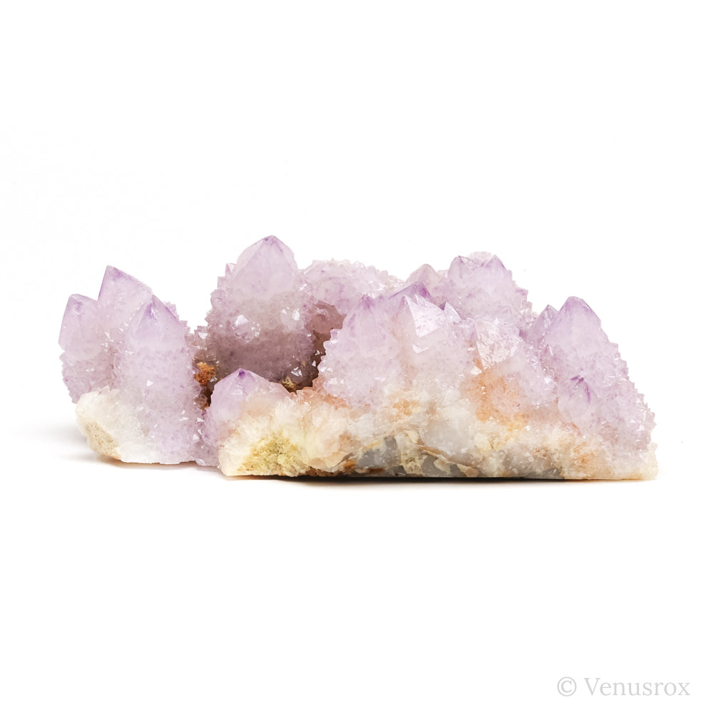 Natural Amethyst Spirit Quartz Cluster from Mpumalanga, South Africa | Venusrox