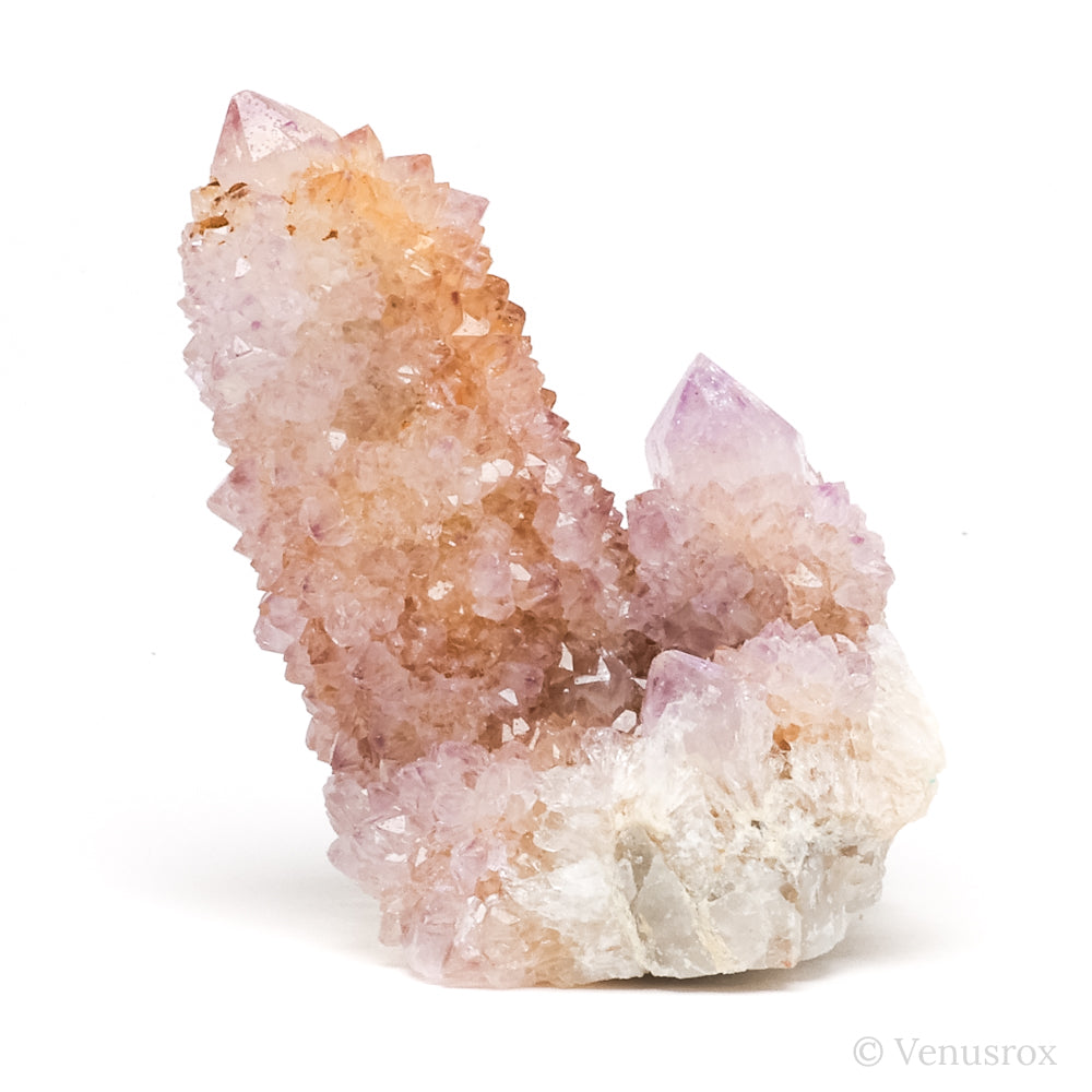 Natural Amethyst Spirit Quartz Cluster from Mpumalanga, South Africa | Venusrox
