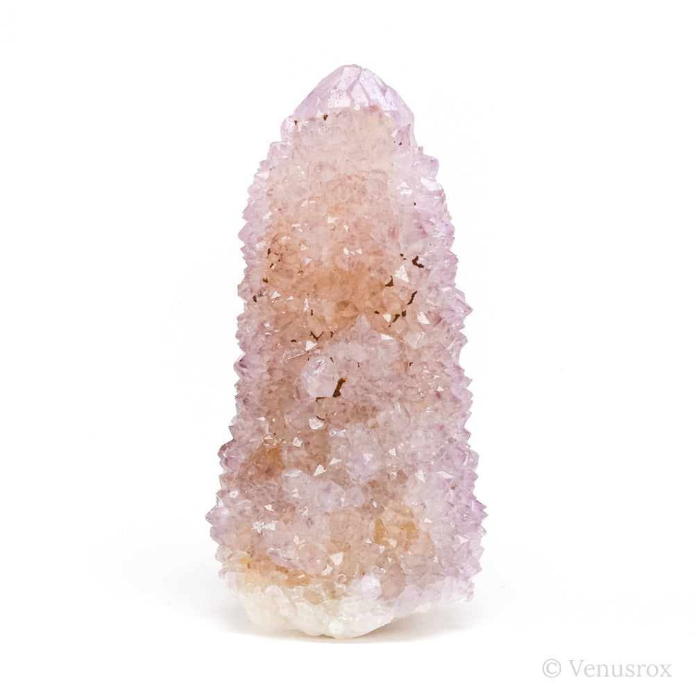 Natural Amethyst Spirit Quartz Point from Mpumalanga, South Africa | Venusrox