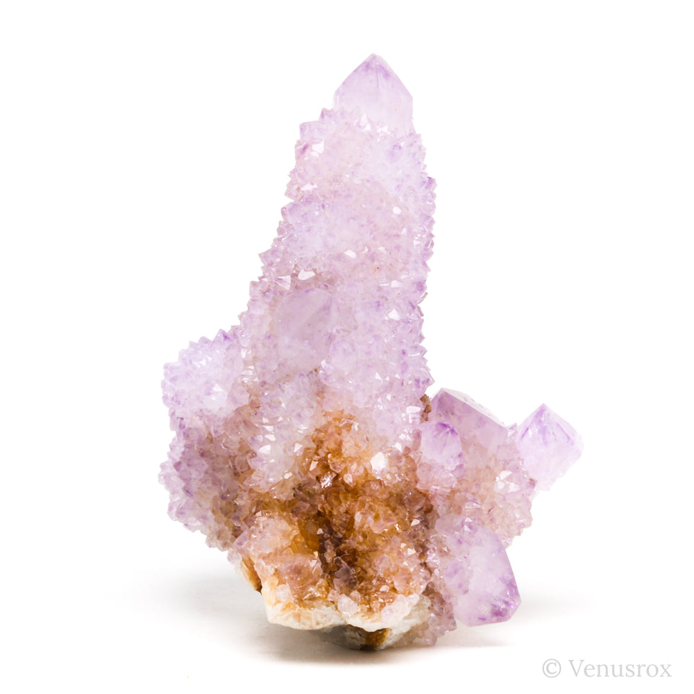 Natural Amethyst Spirit Quartz Cluster from Mpumalanga, South Africa | Venusrox