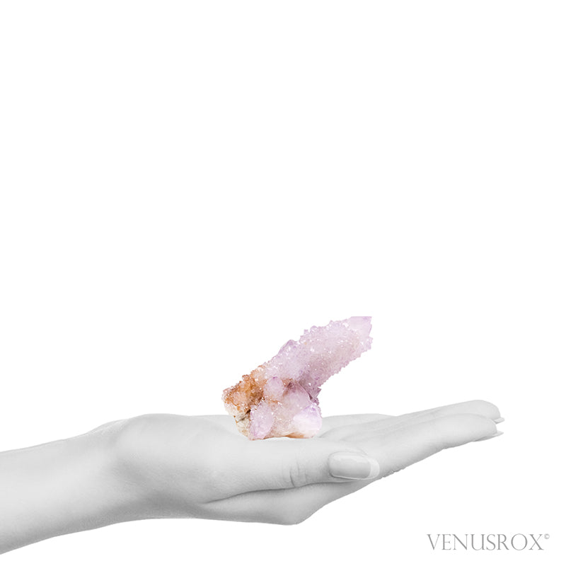 Natural Amethyst Spirit Quartz Cluster from Mpumalanga, South Africa | Venusrox