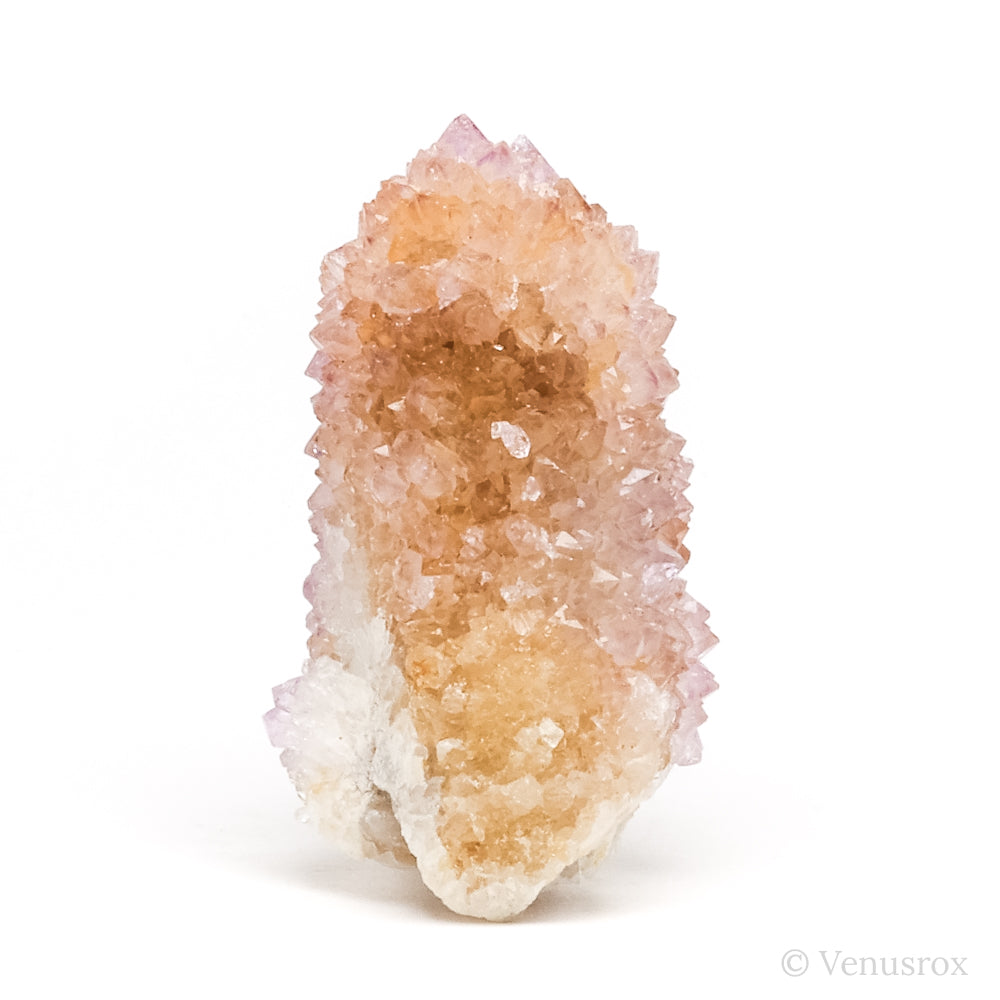 Natural Amethyst Spirit Quartz Cluster from Mpumalanga, South Africa | Venusrox