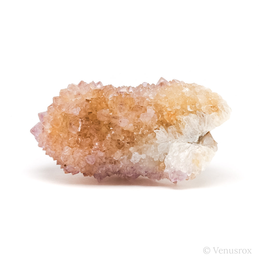 Natural Amethyst Spirit Quartz Cluster from Mpumalanga, South Africa | Venusrox