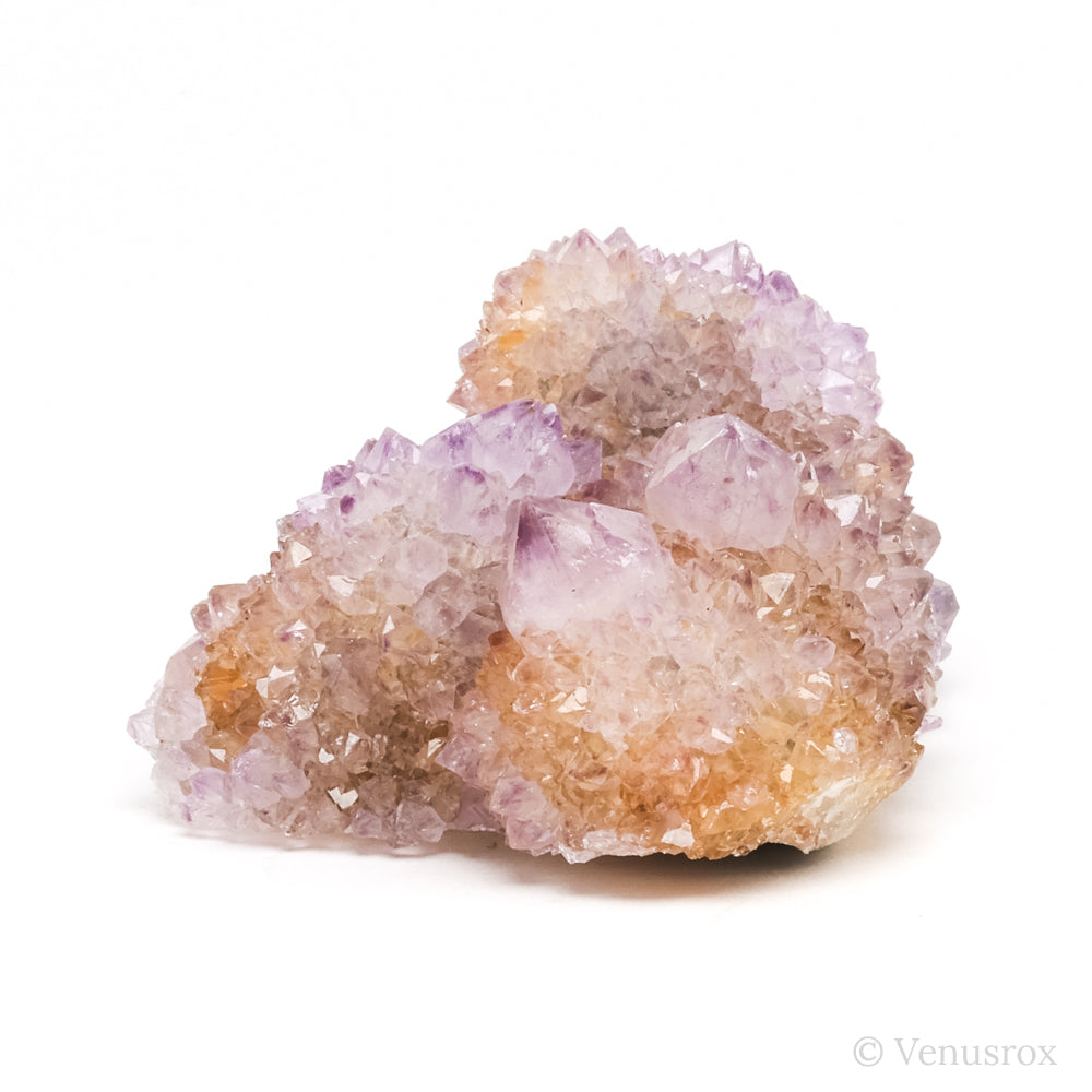 Natural Amethyst Spirit Quartz Cluster from Mpumalanga, South Africa | Venusrox