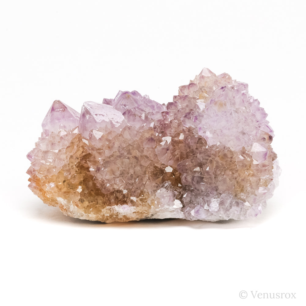 Natural Amethyst Spirit Quartz Cluster from Mpumalanga, South Africa | Venusrox